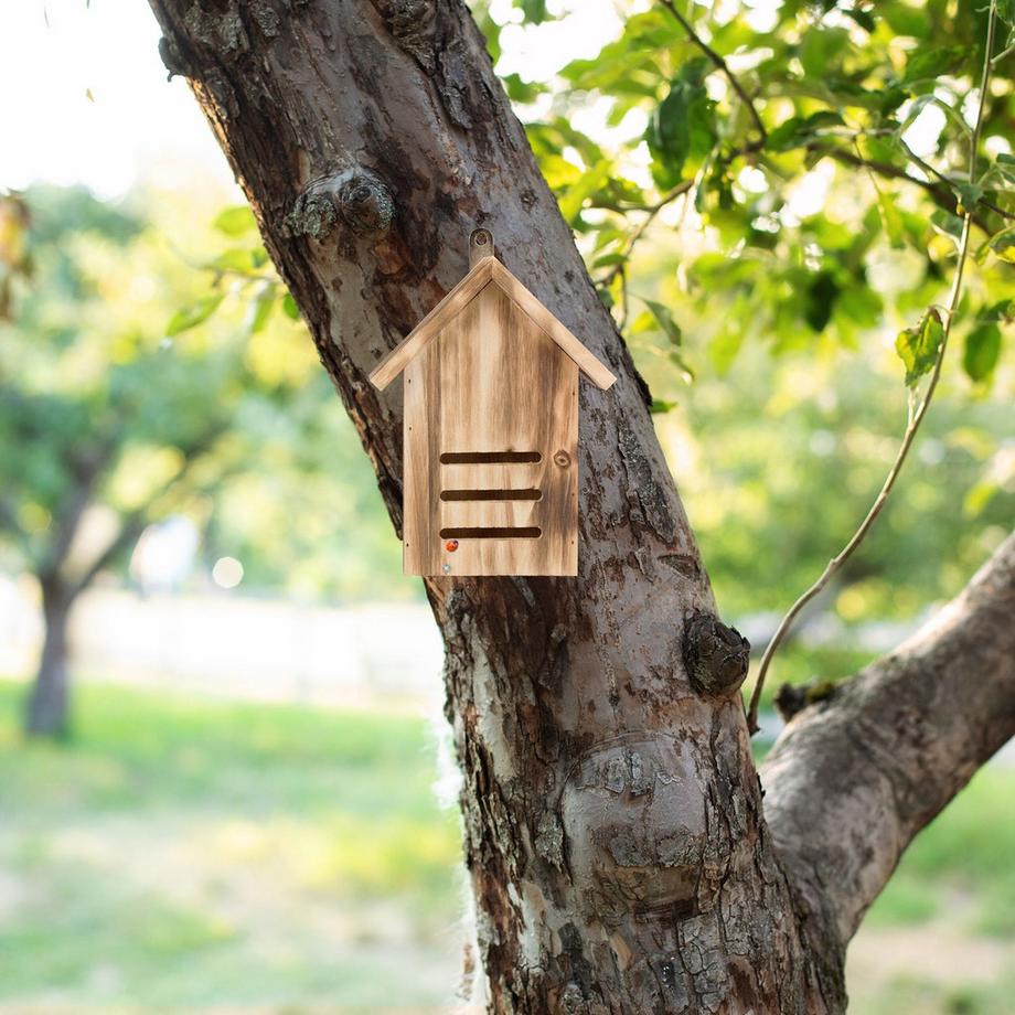 B2X Maison de coccinelle en épicéa flammé  