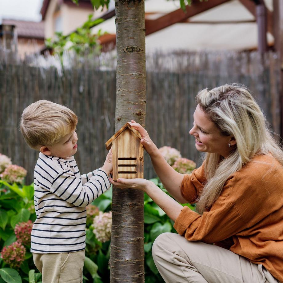 B2X Maison de coccinelle en épicéa flammé  