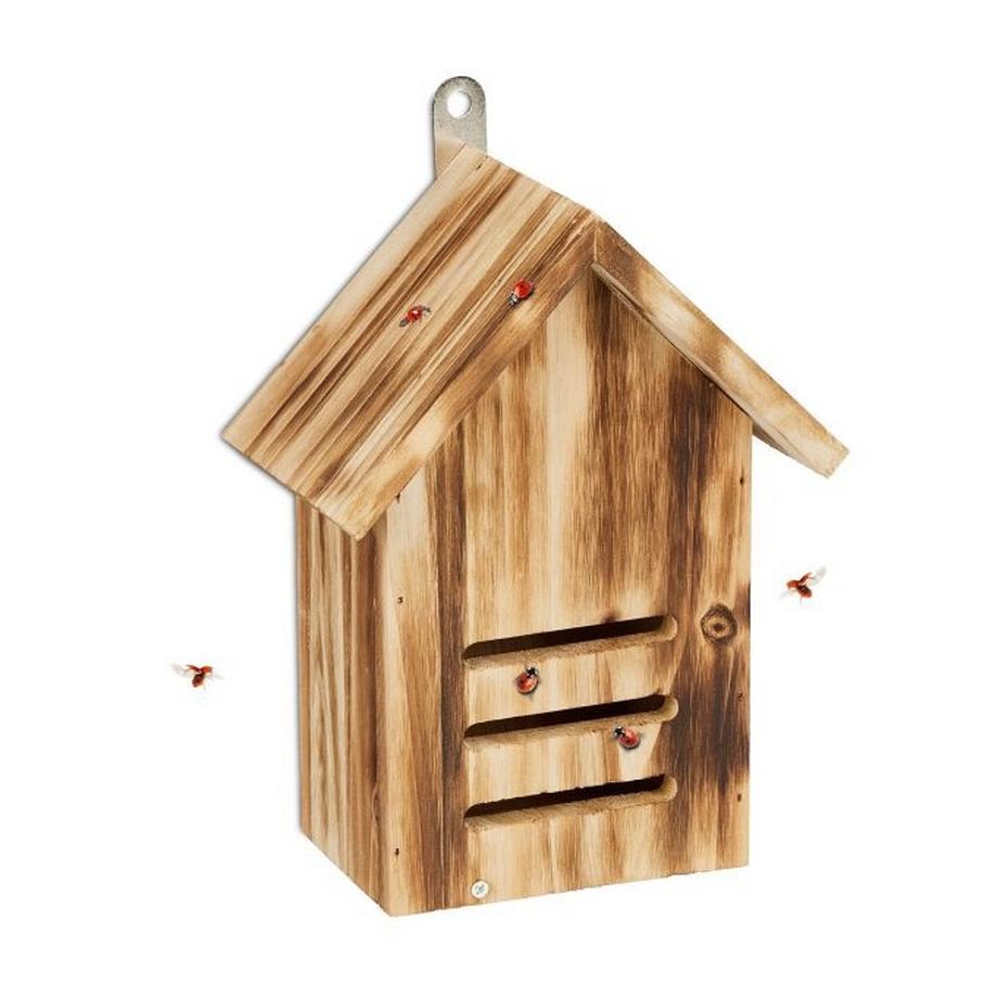 B2X Maison de coccinelle en épicéa flammé  