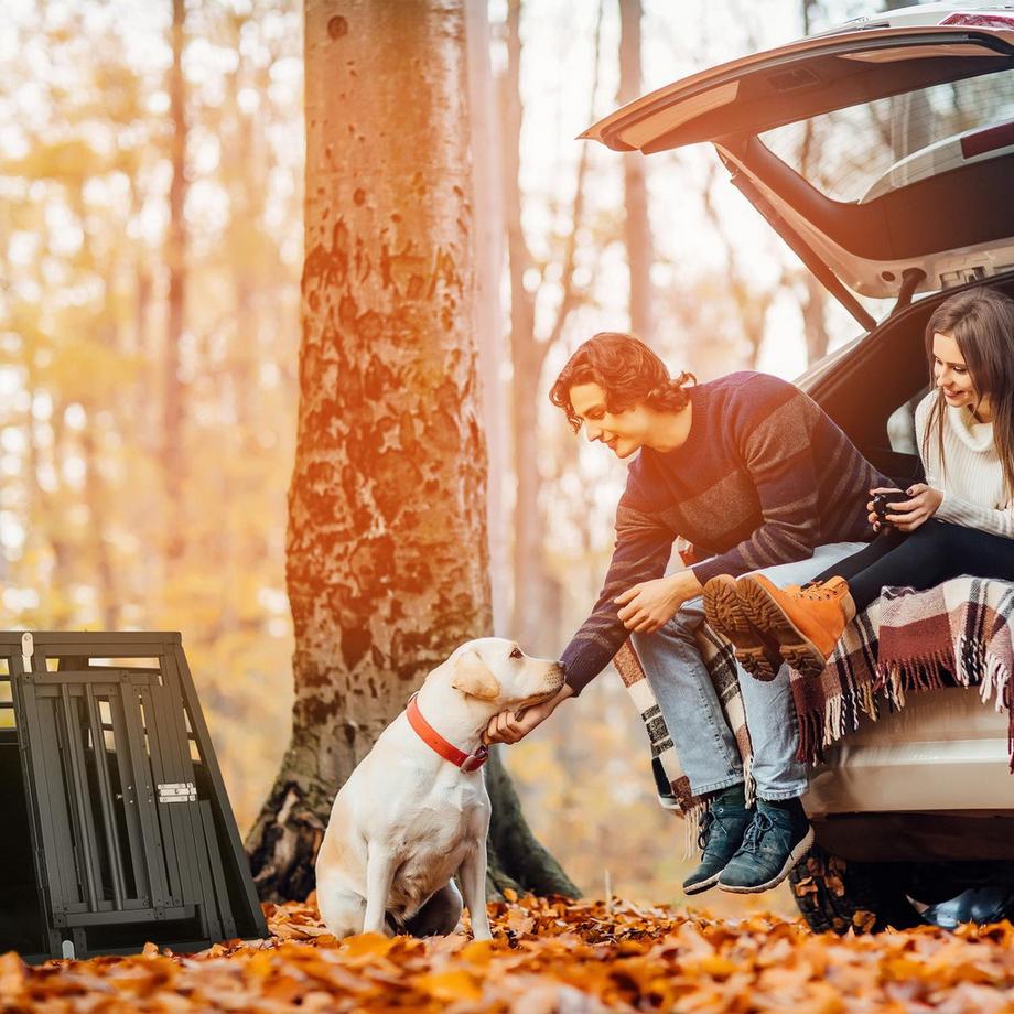 Northio  Hundebox Auto mit Trennwand 