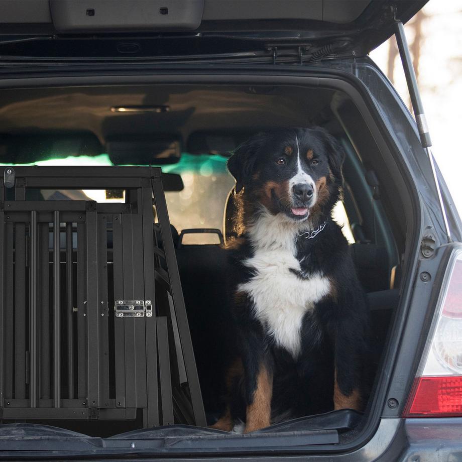Northio  Hundebox Auto mit Trennwand 