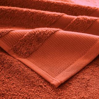 La Redoute Intérieurs Serviette éponge en coton Égyptien 600g/m2  