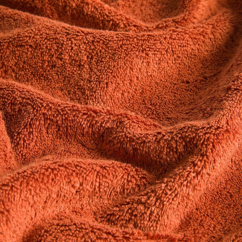 La Redoute Intérieurs Frottierhandtuch aus ägyptischer Baumwolle 600g/m2  