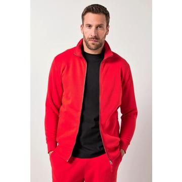 Sweatjacke, Fitness, Stehkragen, Zipper