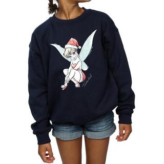 Disney  Fairy Sweatshirt 