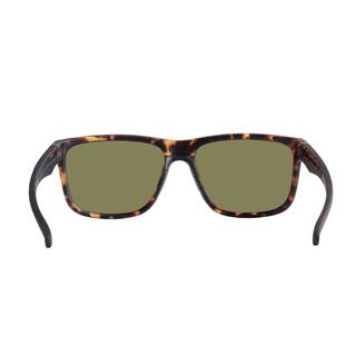 Trespass Lunettes de soleil Bryn Écaille de tortue  