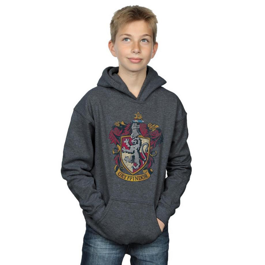 Harry Potter  Sweat à capuche GRYFFINDOR 