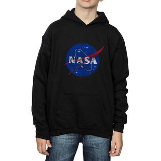 Nasa  Sweat à capuche CLASSIC INSIGNIA LOGO DISTRESSED 