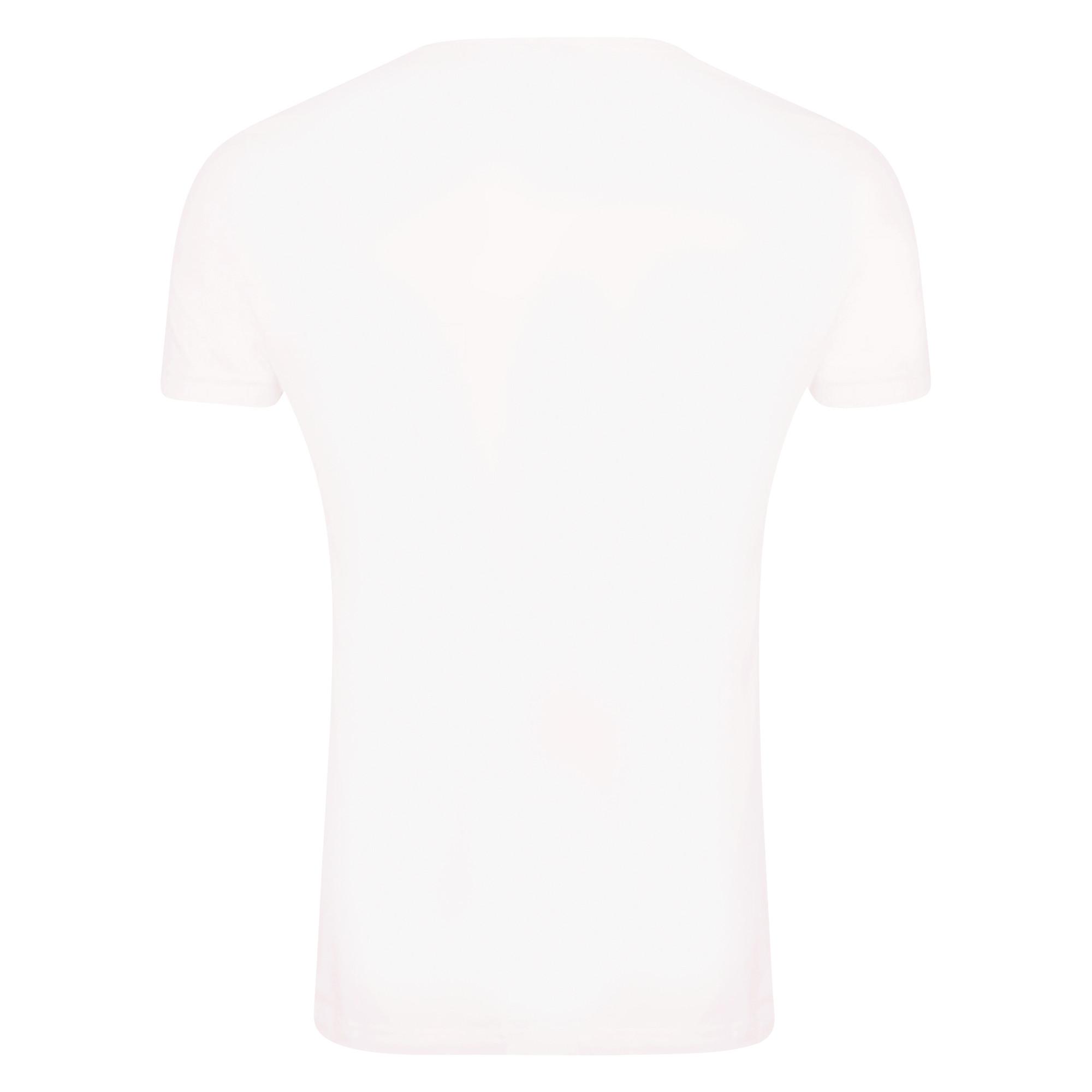 SUPERMAN Our Last Hope T-Shirt Imprimé Graphique  