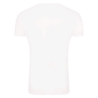 SUPERMAN Our Last Hope T-Shirt Imprimé Graphique  