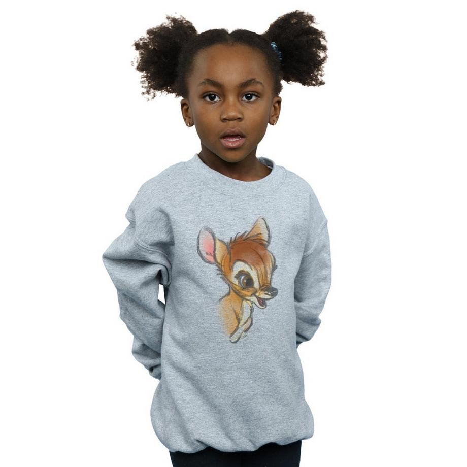 Disney  Sweatshirt 