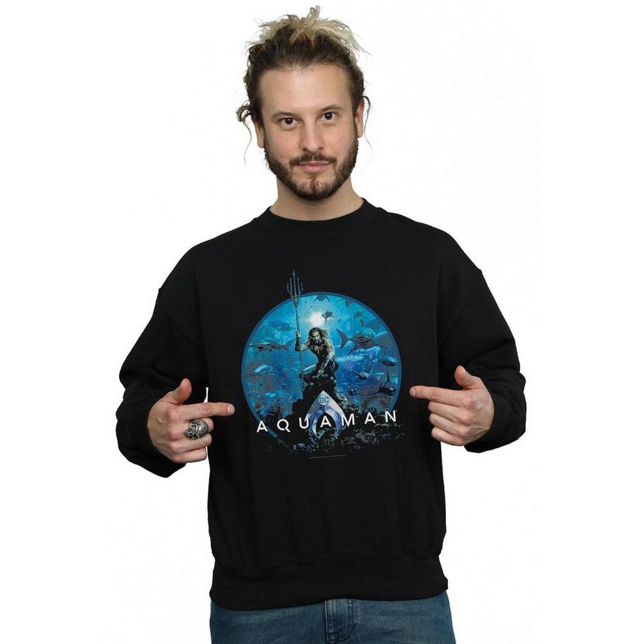 DC COMICS Aquaman Sweatshirt Col Rond  