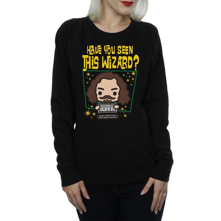 Harry Potter Sirius Black Azkaban Junior Sweatshirt  