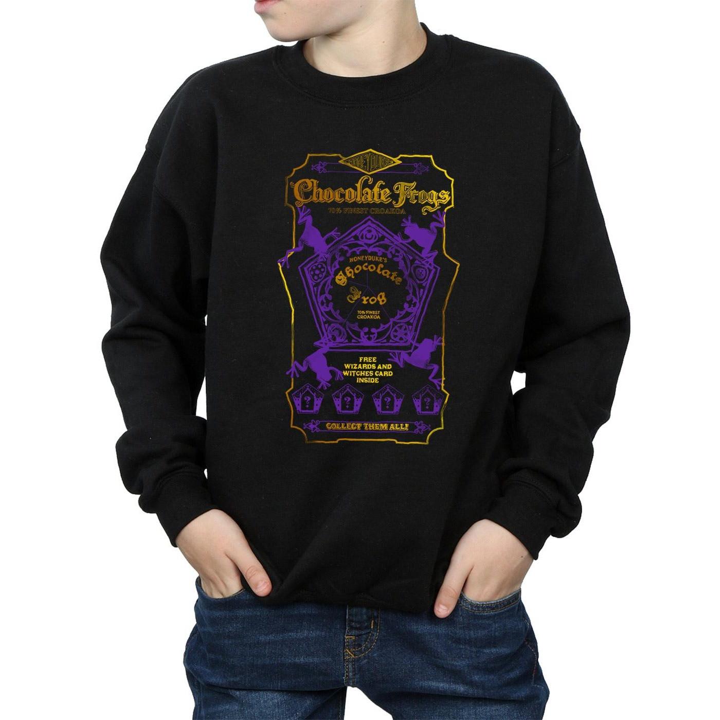 Harry Potter  Sweatshirt 