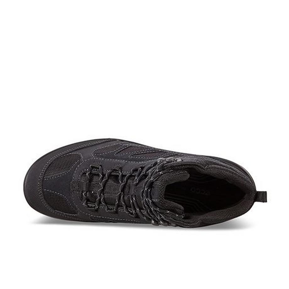 ecco Xpedition III M Sicherheitsschuh  