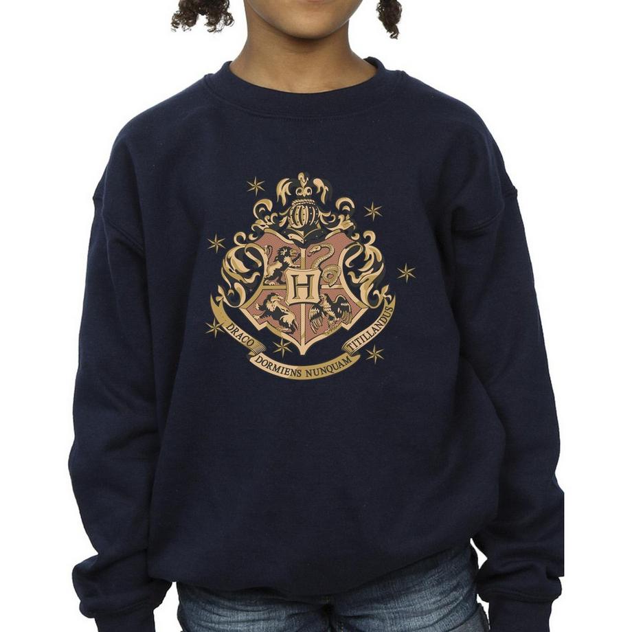 HARRY-POTTER  Sweatshirt 