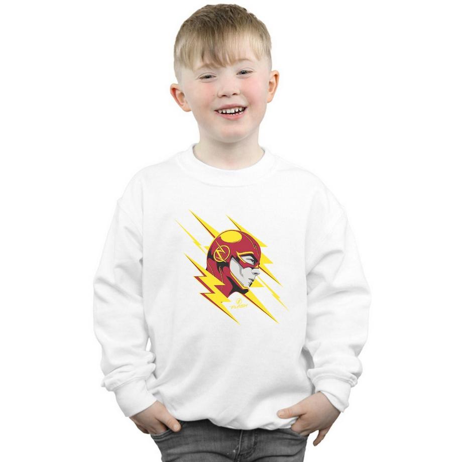 DC COMICS  Sweatshirt 