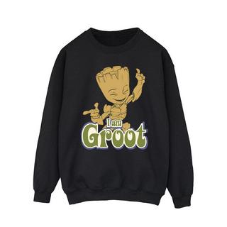 Guardians Of The Galaxy  Sweatshirt 