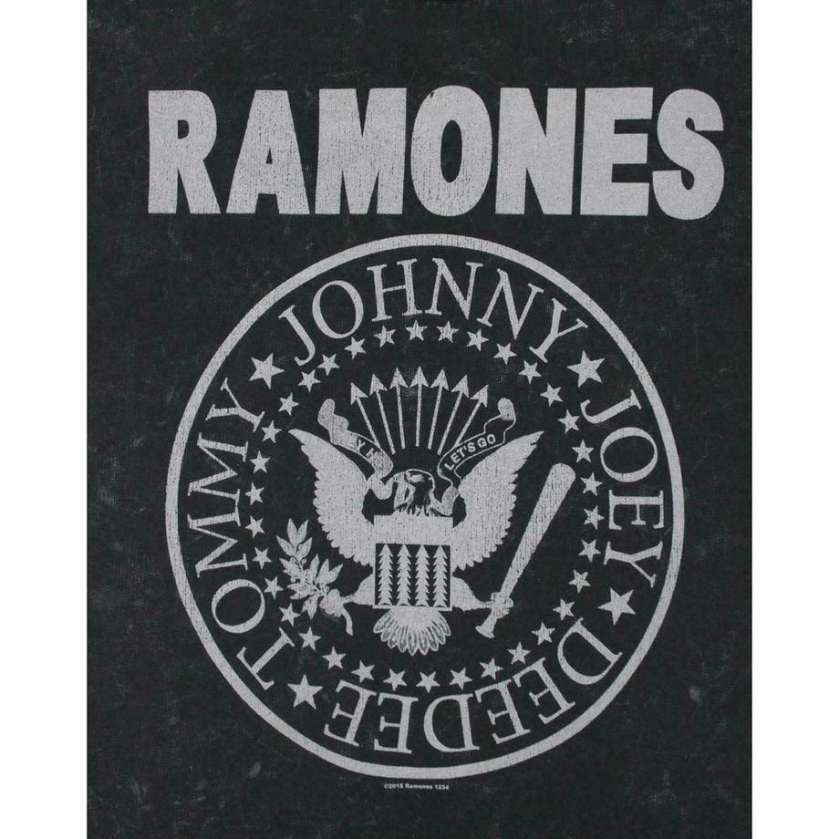 Amplified Felpa Logo Ramones  