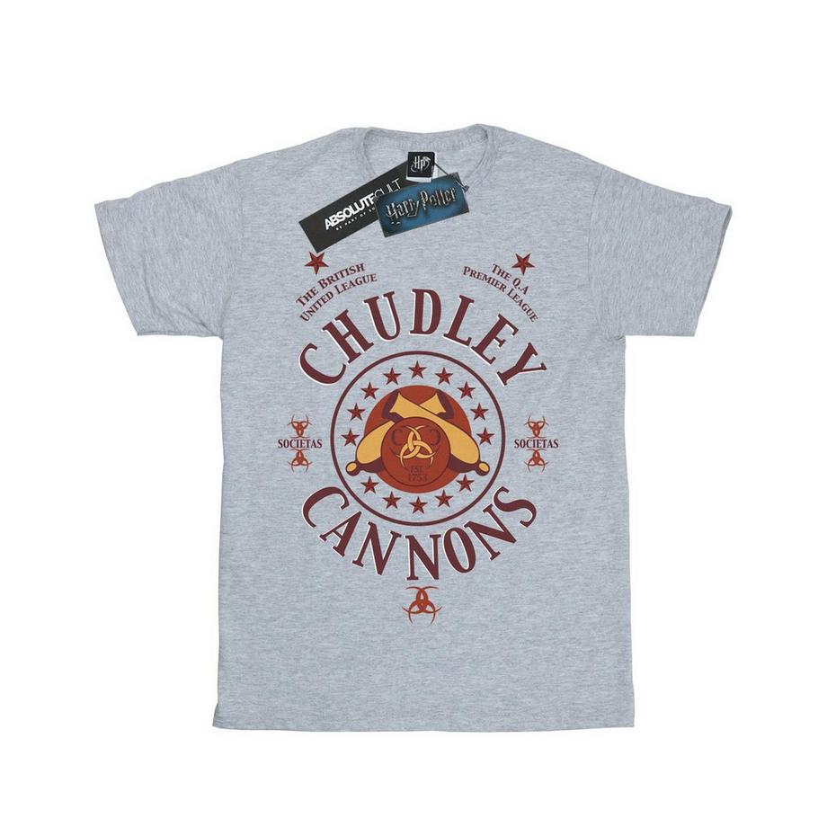 Harry Potter  Chudley Cannons TShirt 