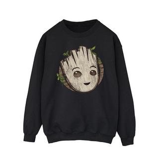 MARVEL  Sweat AM GROOT 