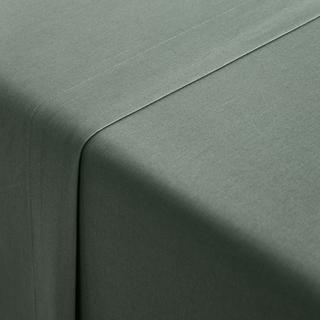 La Redoute Intérieurs Scenario Lenzuolo Piatto Tinta Unita in Cotone Biologico  