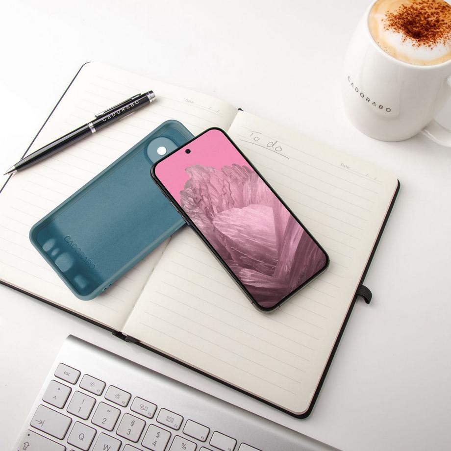 Cadorabo  Google Pixel 9 Coque 