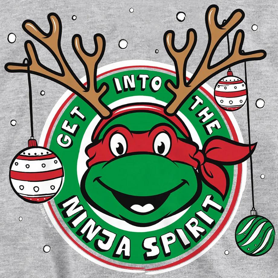 TEENAGE MUTANT NINJA TURTLE  Sweat À Capuche Get Into The Ninja Spirit 