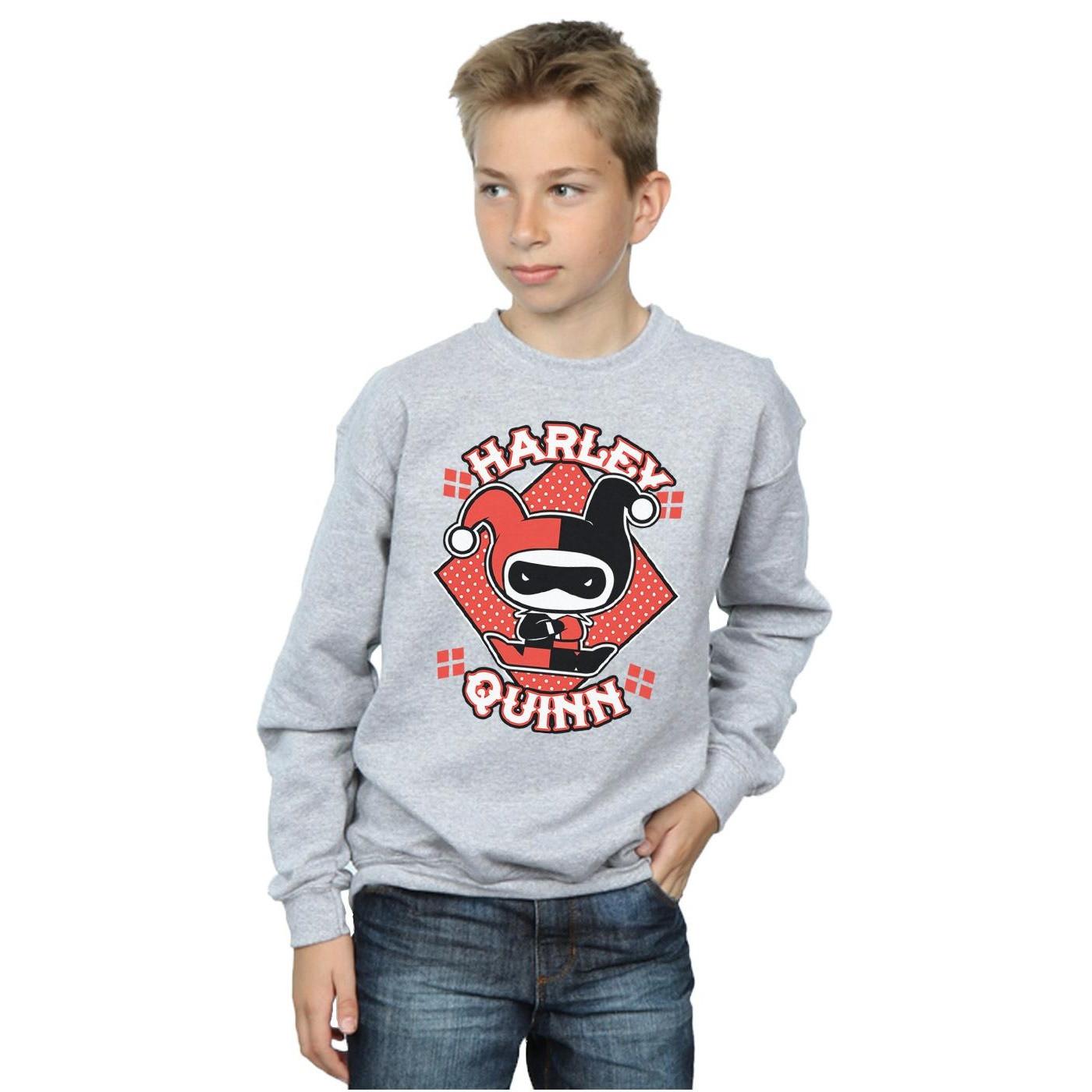 DC COMICS  Sweatshirt 