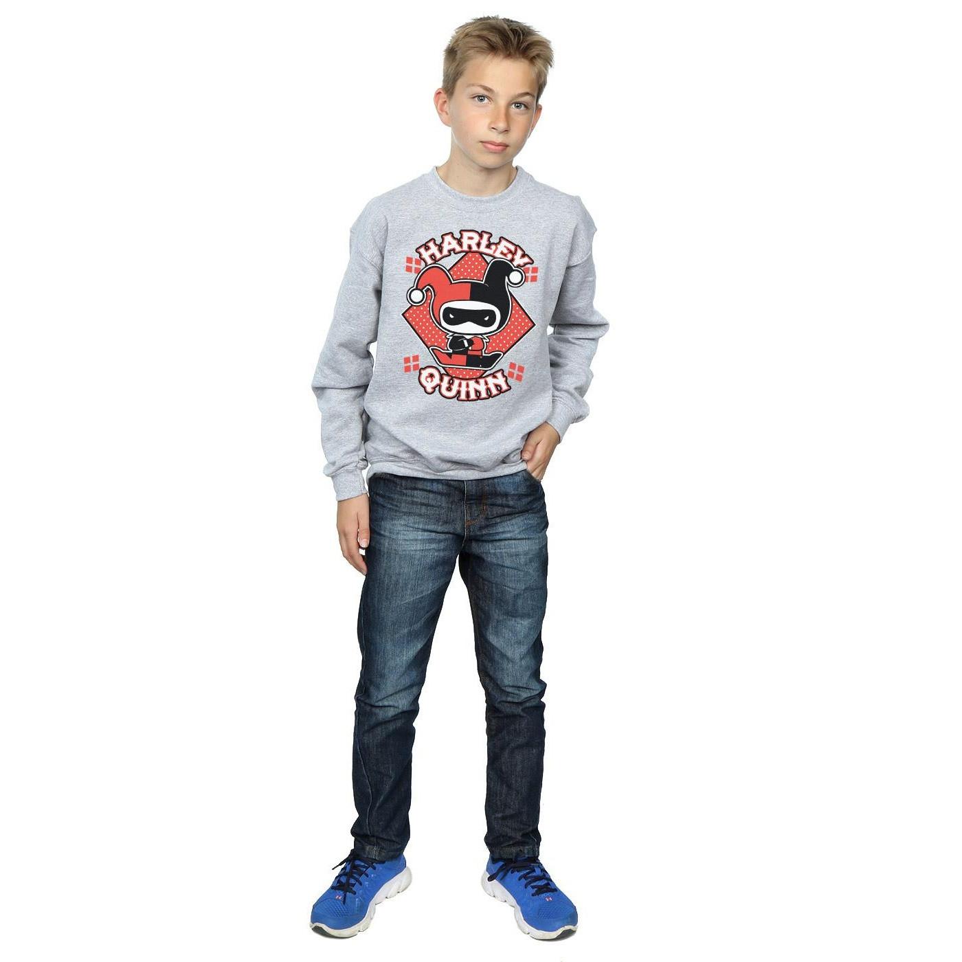 DC COMICS  Sweatshirt 