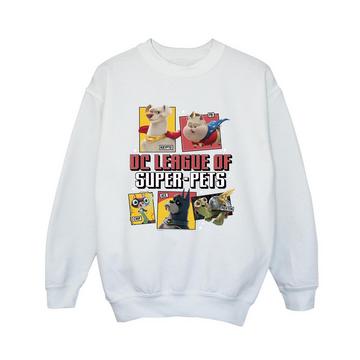 DC League Of SuperPets Sweatshirt