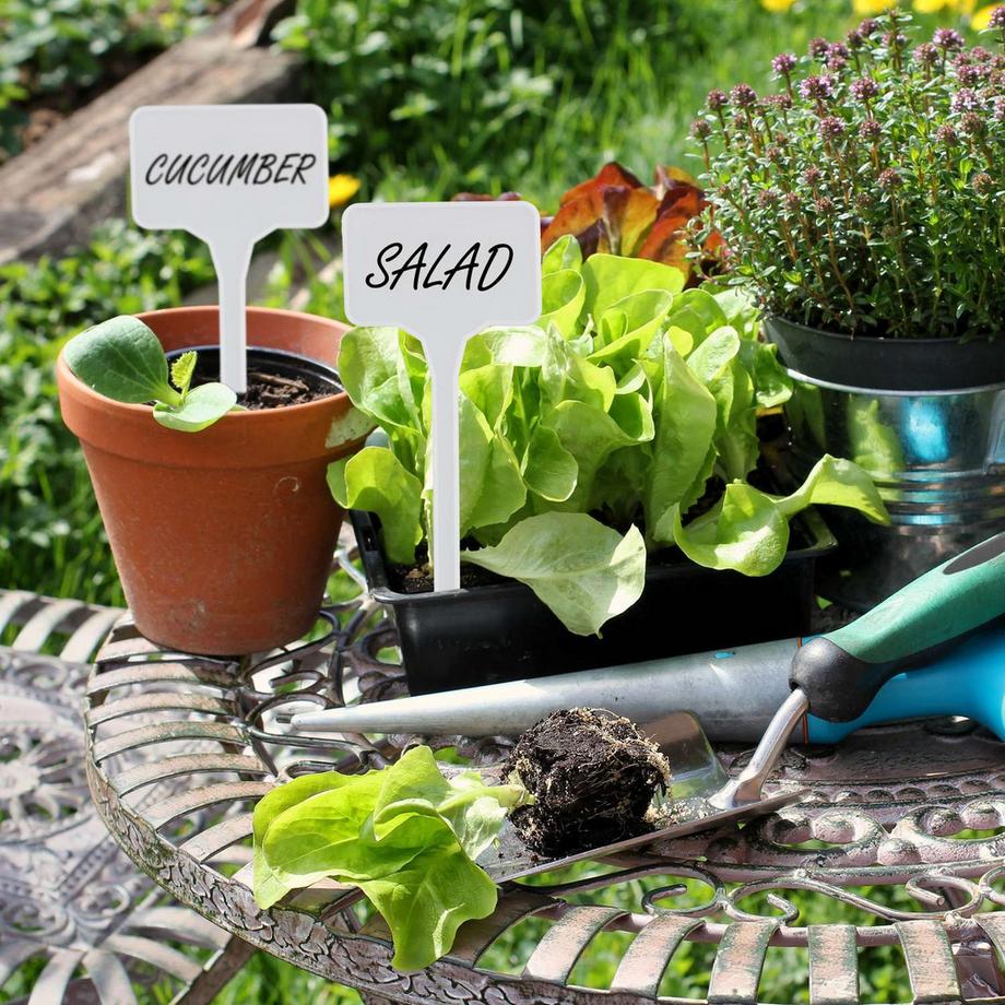 B2X  Pflanzenetiketten, 100er-Pack 