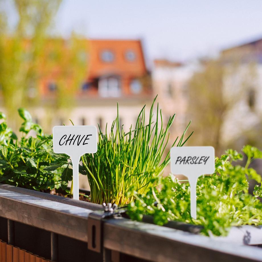 B2X  Pflanzenetiketten, 100er-Pack 