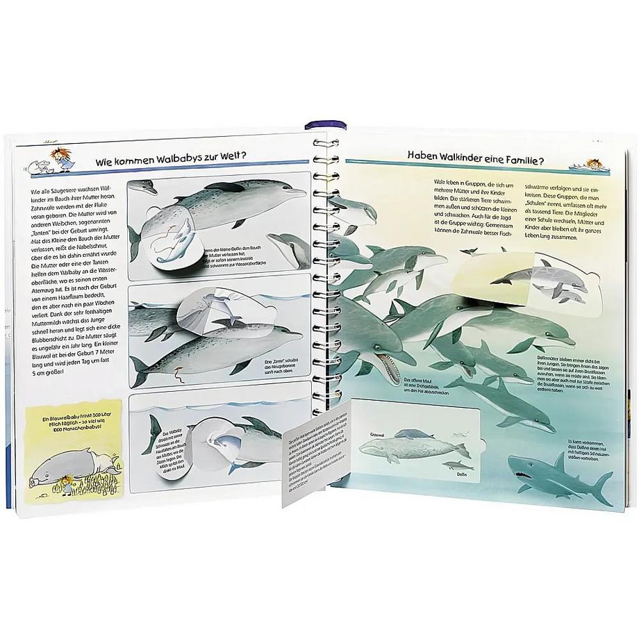 Wieso? Weshalb? Warum? Wir entdecken Wale und Delfine (Nr.41) Rübel, Doris; Rübel, Doris (Illustrationen) Copertina rigida 