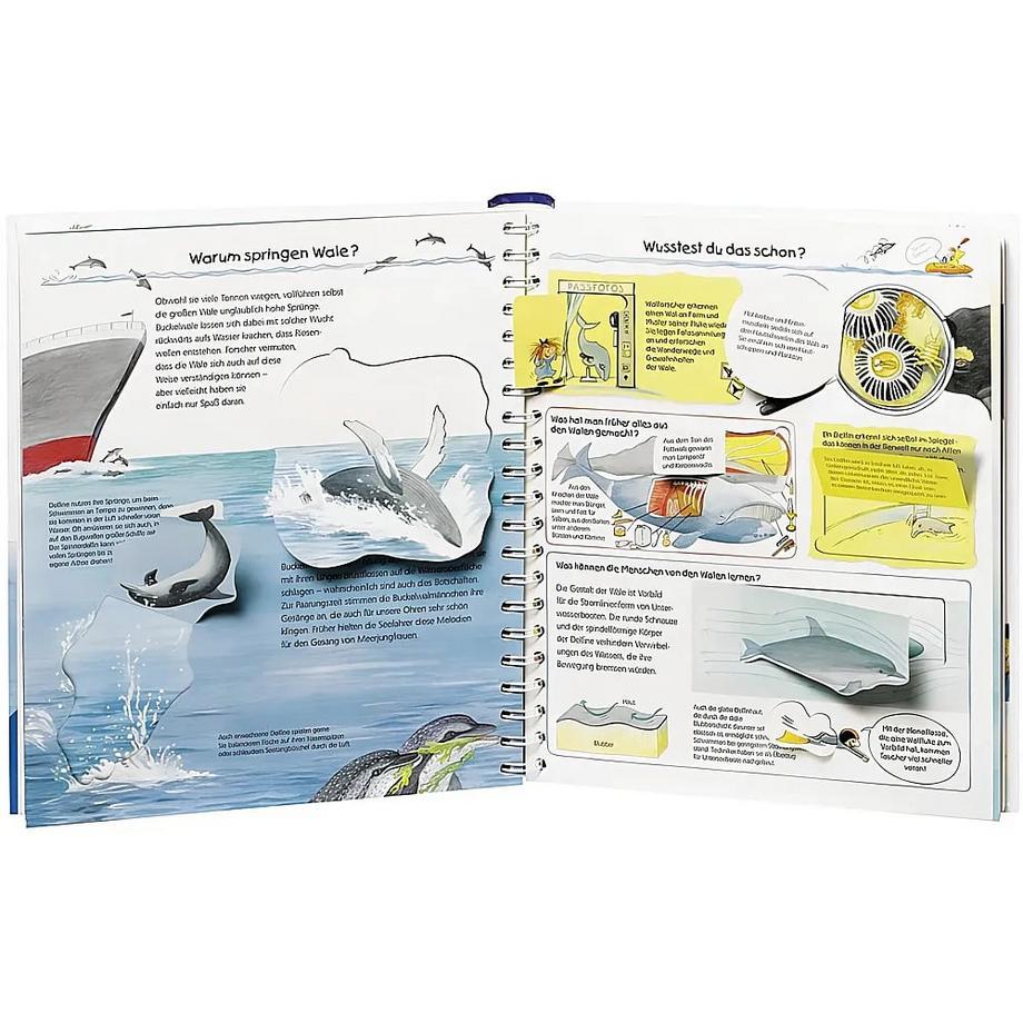 Wieso? Weshalb? Warum? Wir entdecken Wale und Delfine (Nr.41) Rübel, Doris; Rübel, Doris (Illustrationen) Copertina rigida 