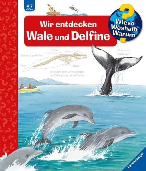 Wieso? Weshalb? Warum? Wir entdecken Wale und Delfine (Nr.41) Rübel, Doris; Rübel, Doris (Illustrationen) Copertina rigida 