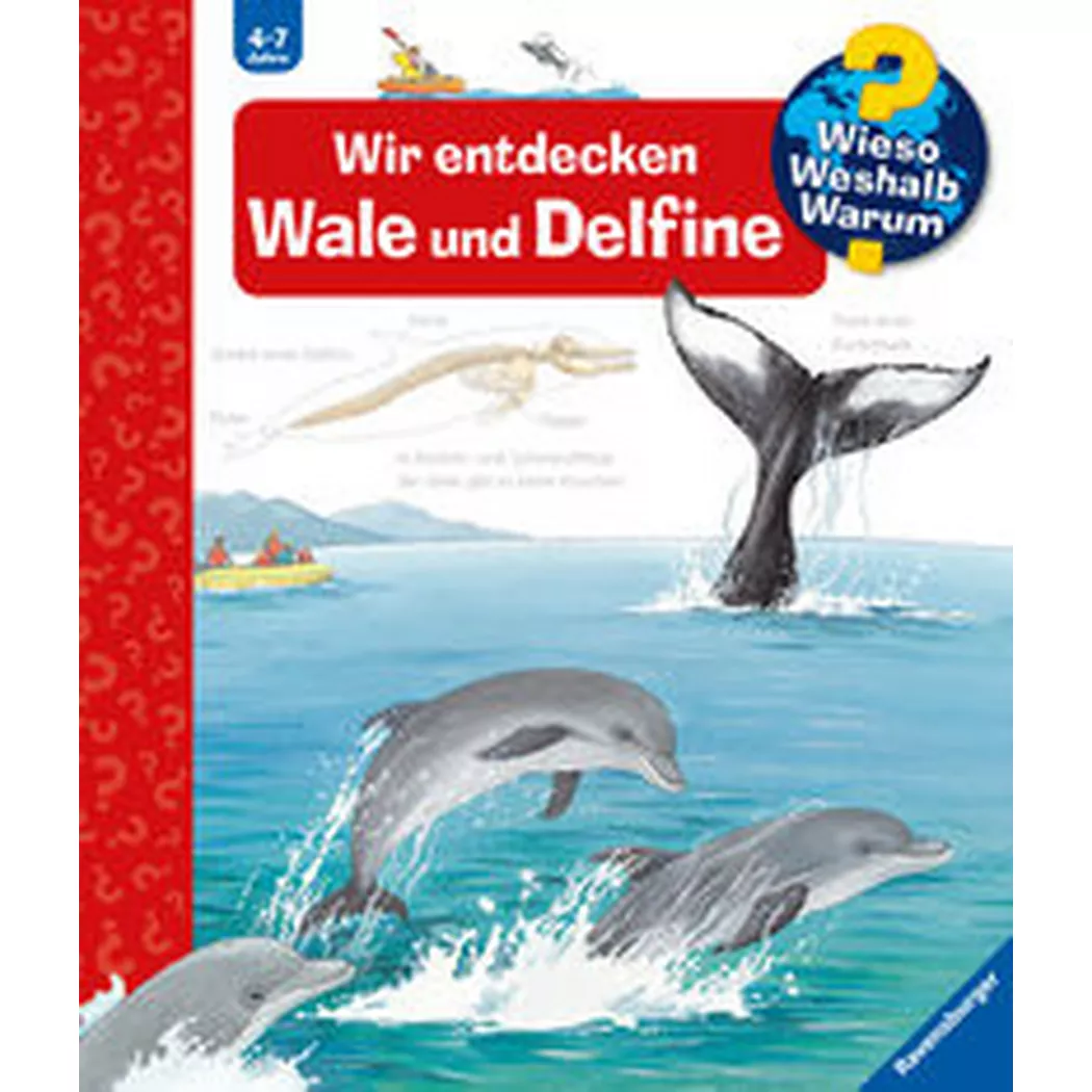 Ravensburger - Wieso? Weshalb? Warum?, Band 41: Wir entdecken Wale und Delfine, Rübel, Doris; Doris (Illustrationen)