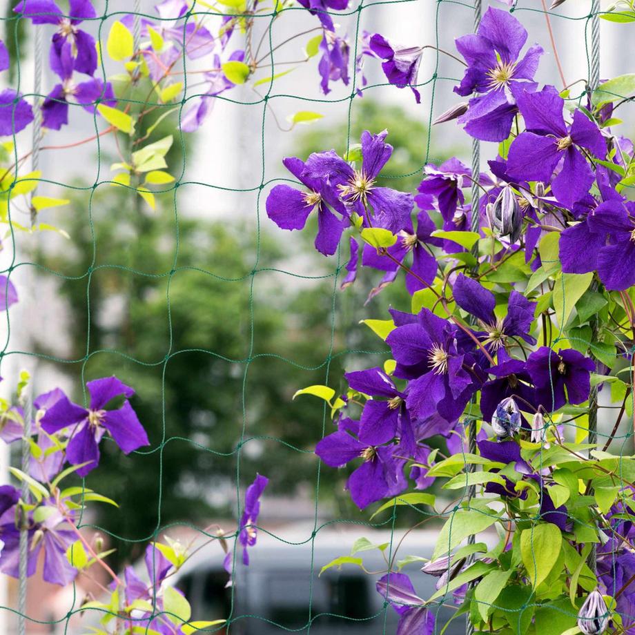 B2X Ranknetz 200 x 750 cm  