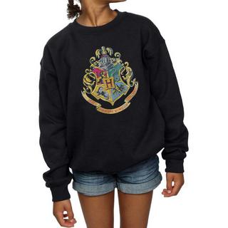 Harry Potter  Sweatshirt 