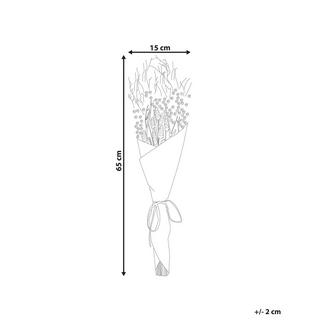 Beliani  Mazzo di Fiori Secchi en Fiori Secchi Boho CERCEDILLA 