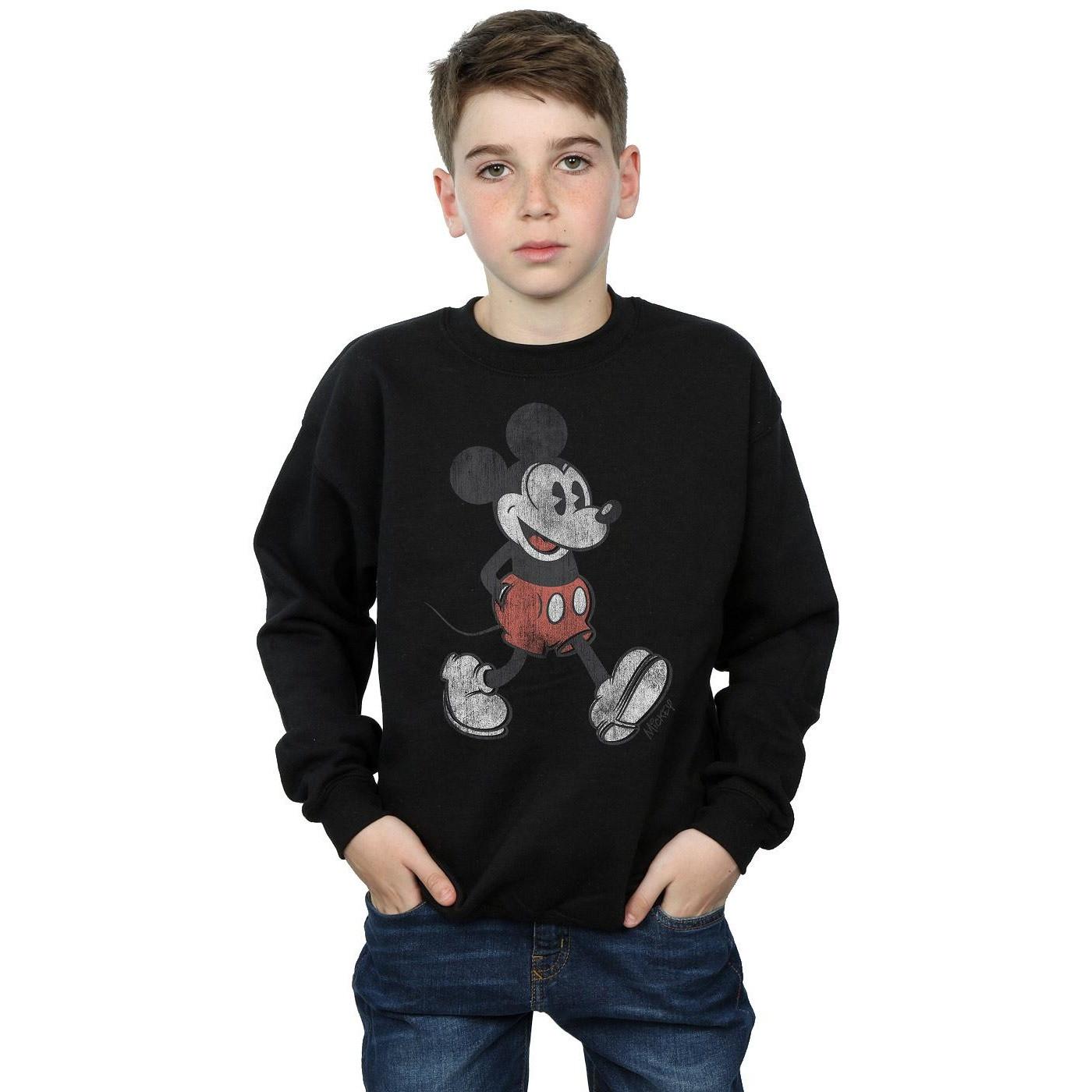 Disney  Walking Sweatshirt 