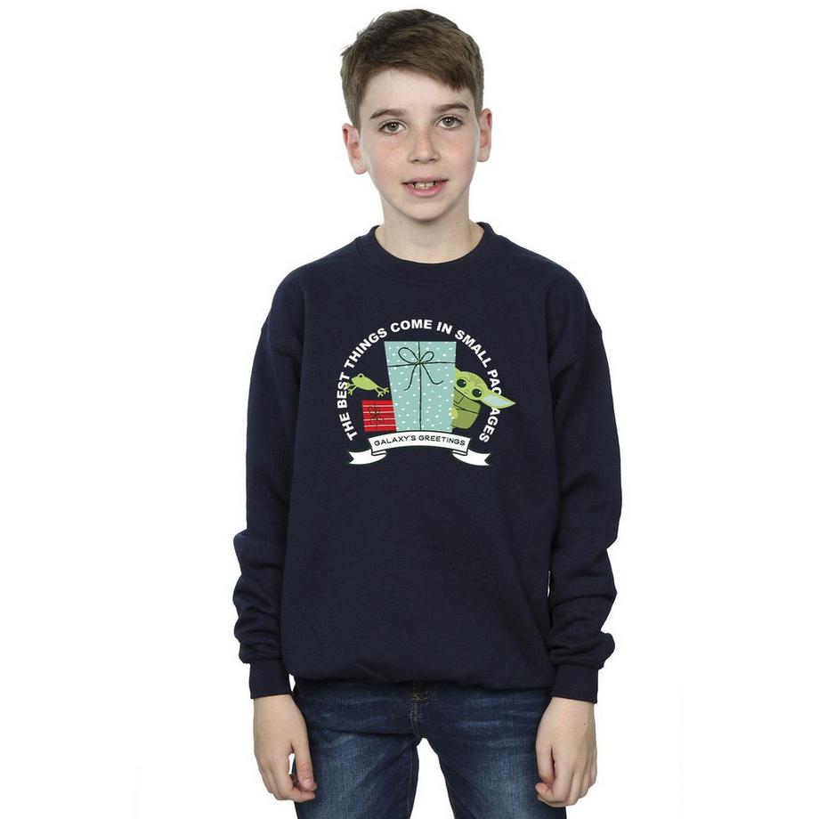 STAR WARS  Sweat THE MANDALORIAN GALAXY'S GREETINGS 