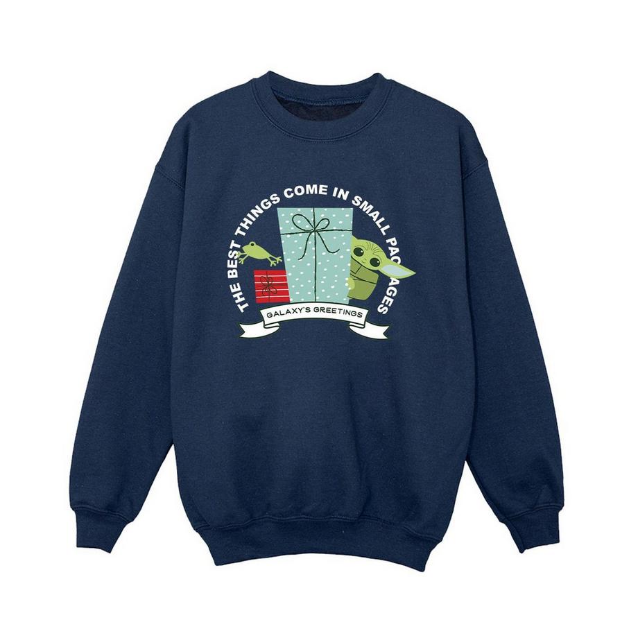 Sweat THE MANDALORIAN GALAXY'S GREETINGS