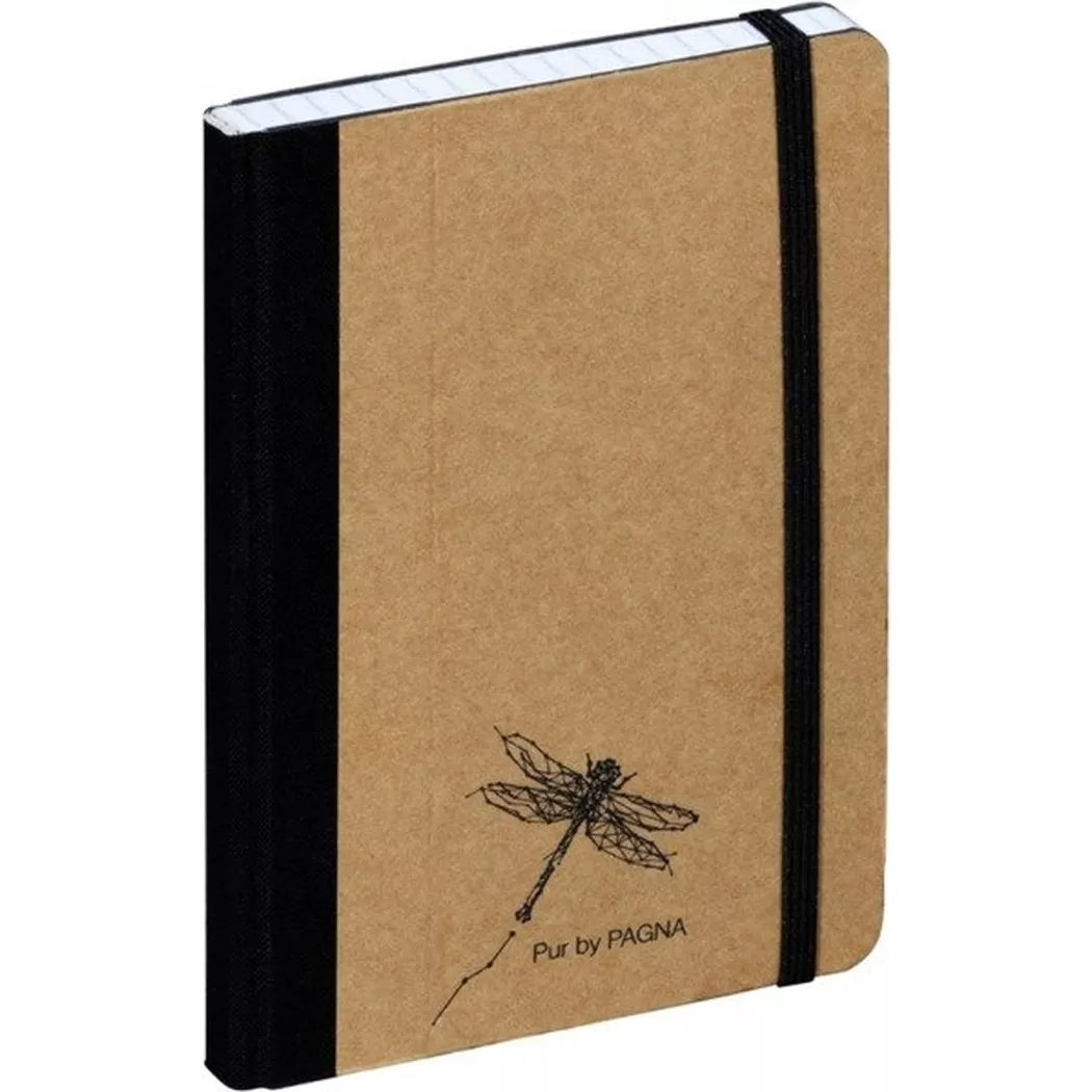 PAGNA Notizbuch , Pur, , DIN A6, kariert, natur