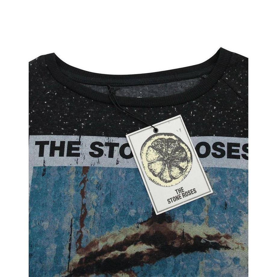 Amplified Fools Gold Felpa  