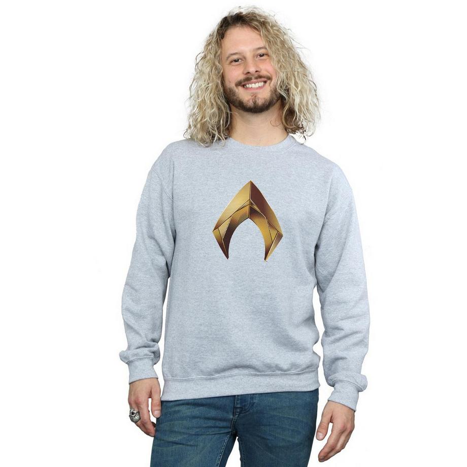 DC COMICS Aquaman Logo Regular Fit Sweatshirt  
