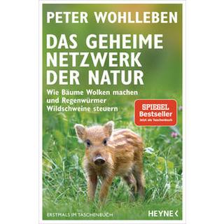 Das geheime Netzwerk der Natur Wohlleben, Peter Taschenbuch 