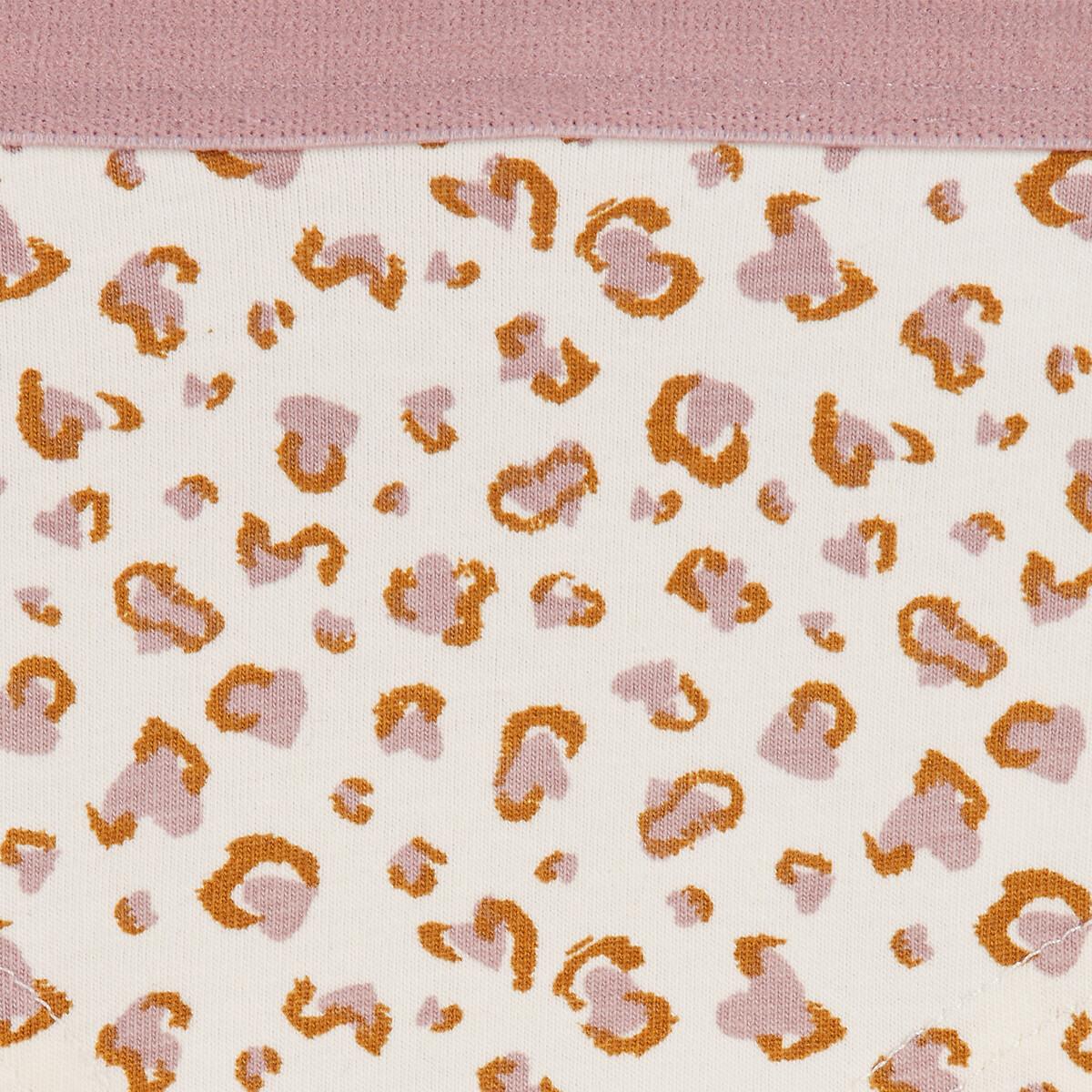 La Redoute Collections  Lot de 5 shorties&nbsp; 