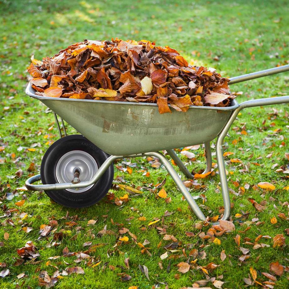 B2X  Rad für Schubkarre 4.80 4.00-8 Vollgummi 