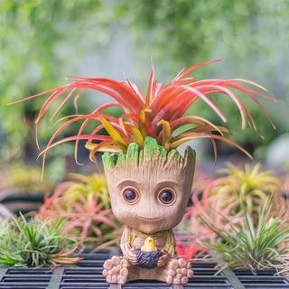 Northio Baby Groot, Pot de fleurs - Nid d'oiseau  
